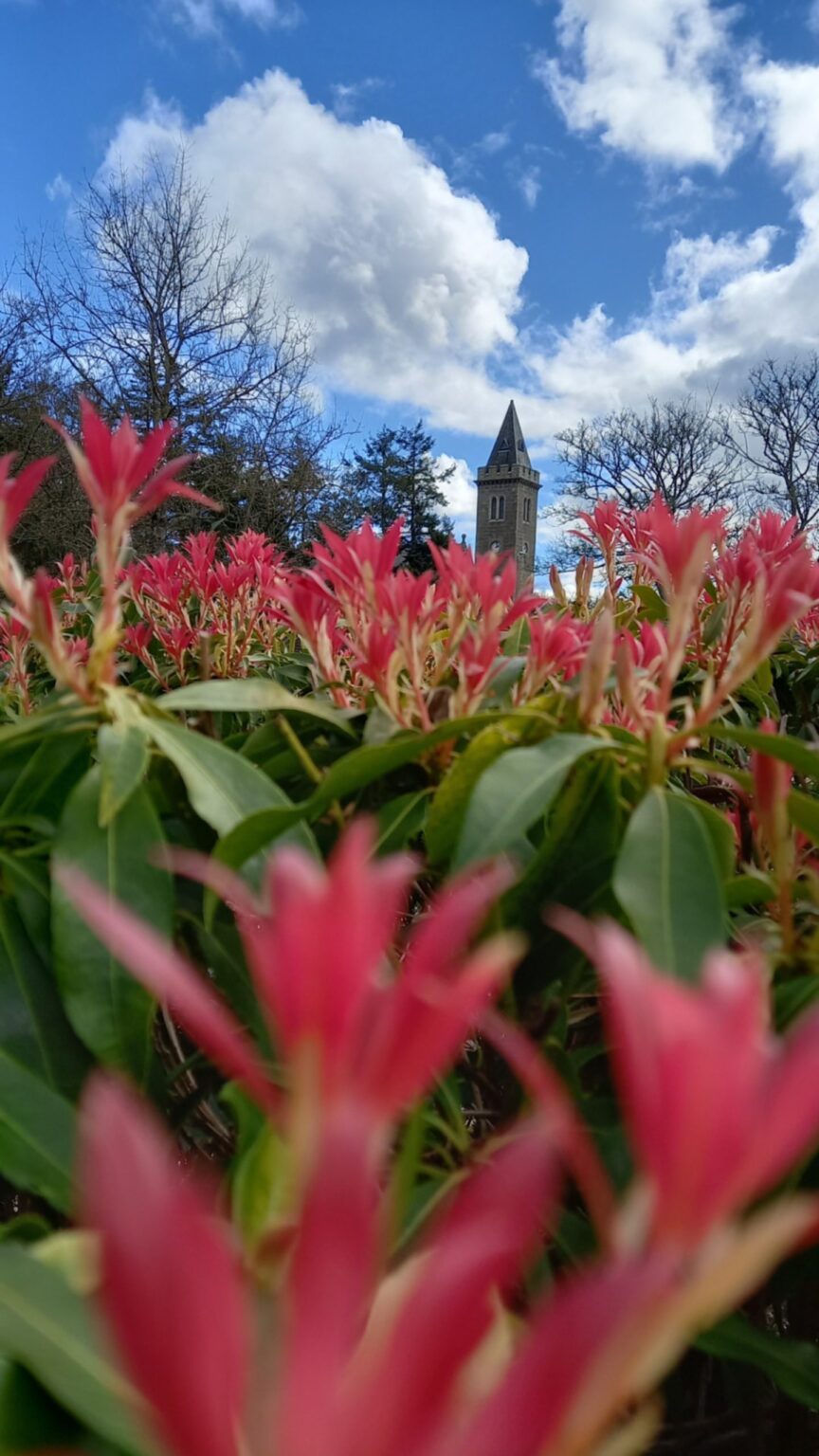 Readers’ Gallery: Spring Wildlife, Cherry Blossom and Landscapes