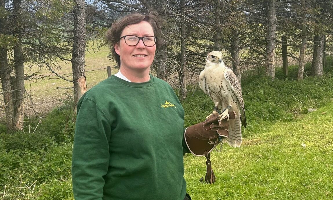 How Keith falconer turned a love of birds into a full-time family business