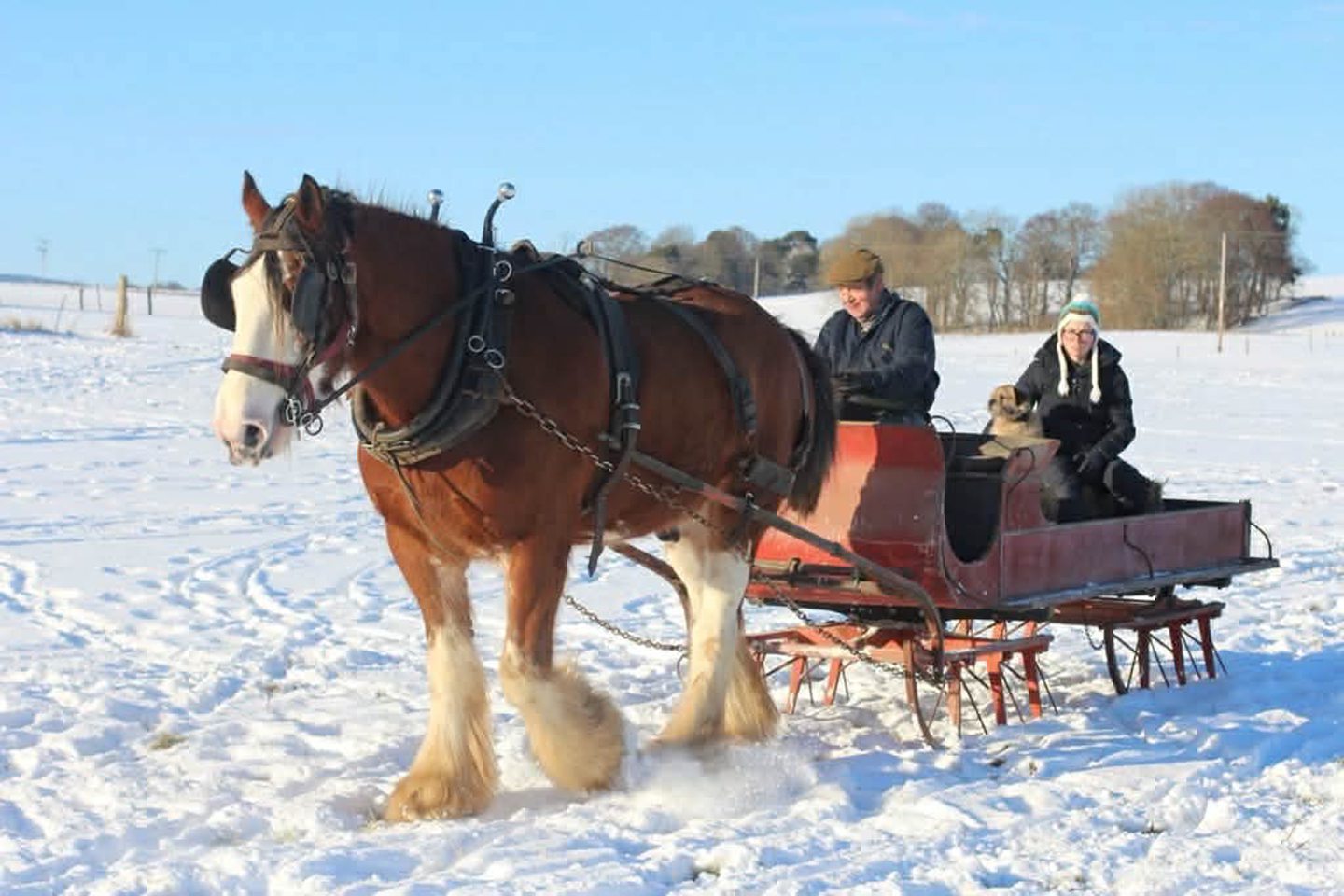 Obituary: Farmer and Clydesdale horse ‘legend’, George Skinner of Strathorn, Inverurie