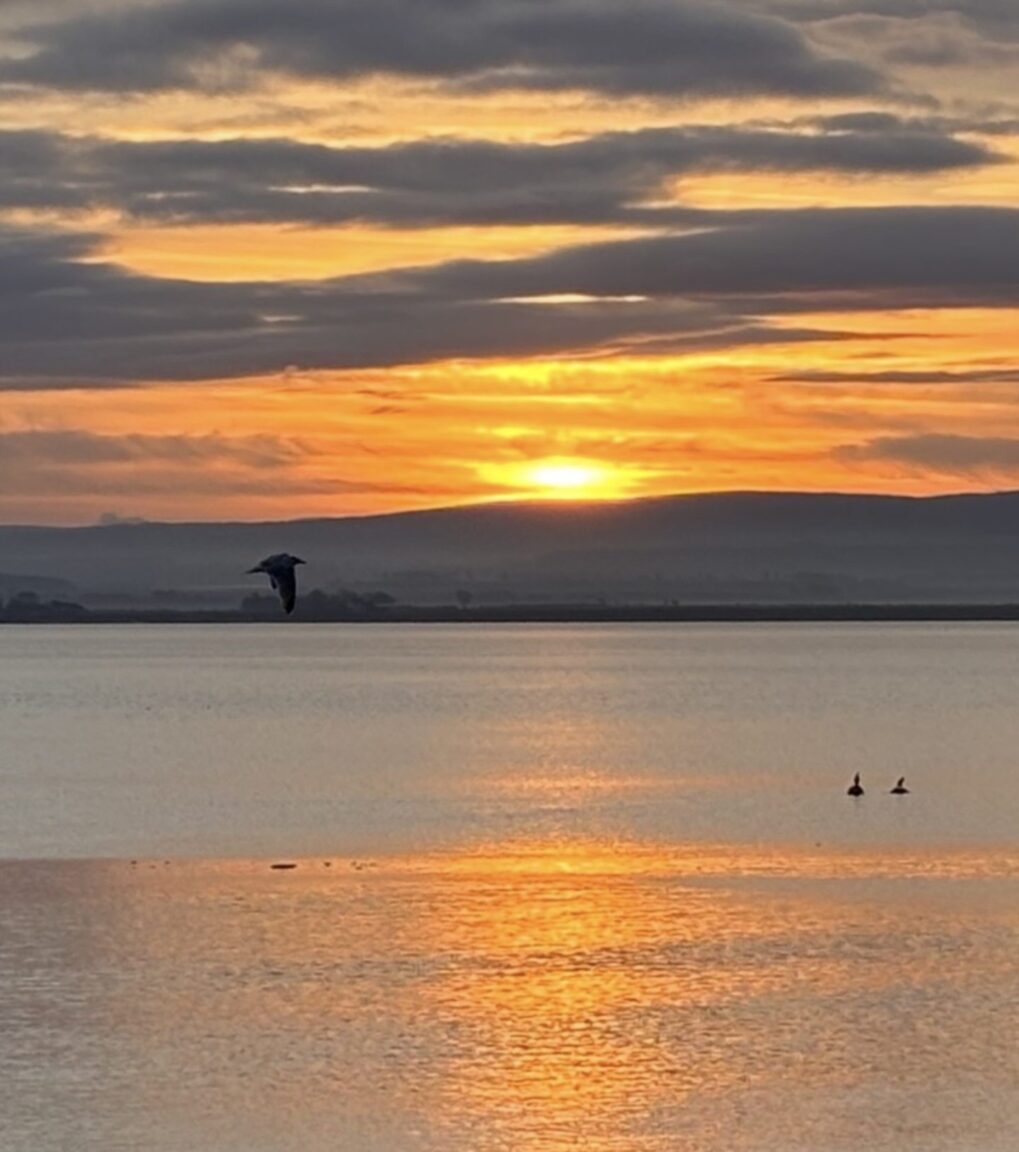 Readers’ Gallery: Spring Wildlife, Cherry Blossom and Landscapes