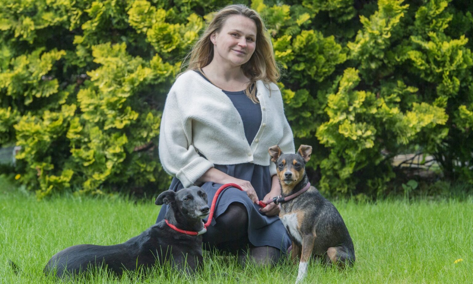 ‘I always wanted to know what my rescue dog was thinking, so I invented an AI app to translate for me’