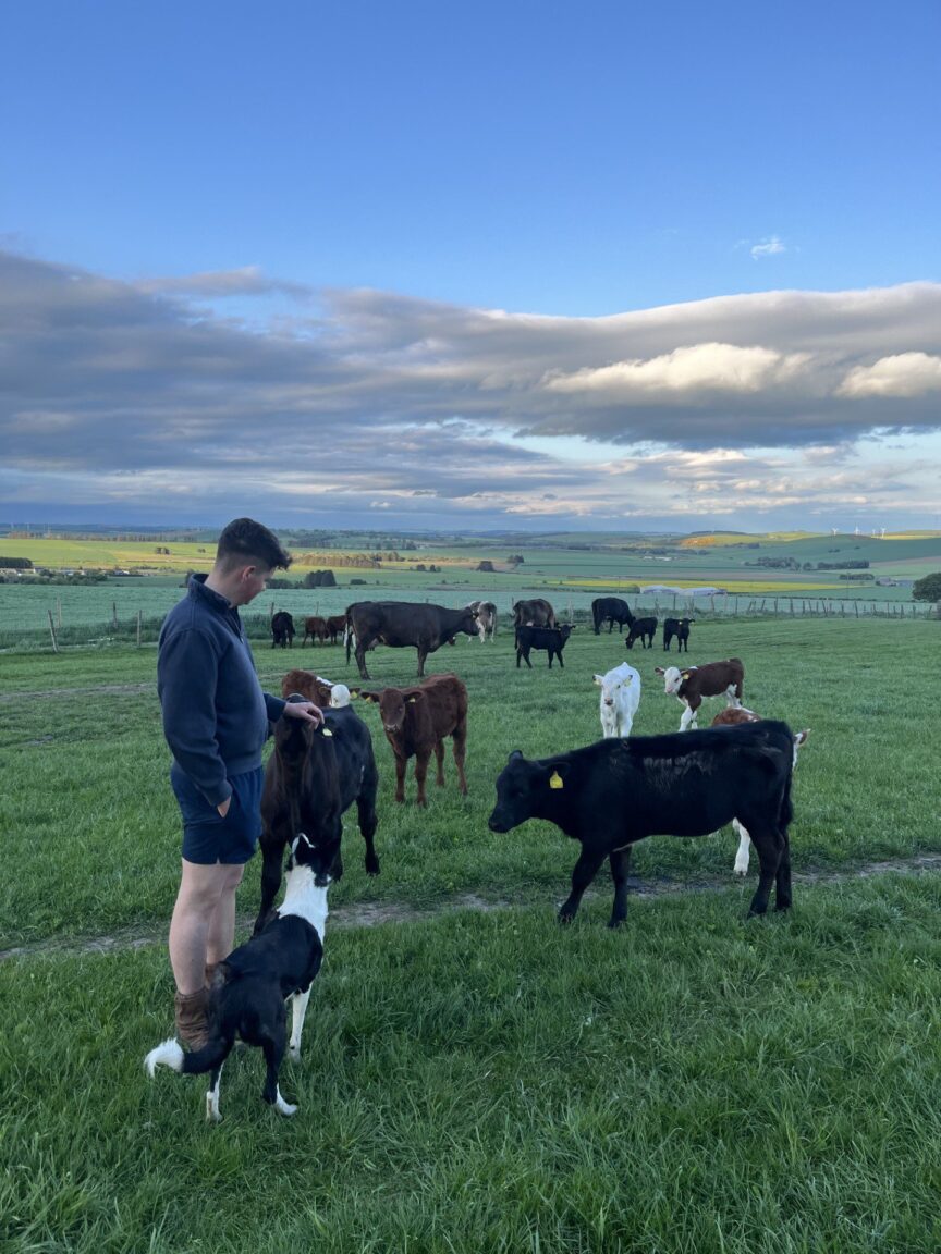 Insch Young Farmer David Massie: ‘Why I chose career in agriculture’