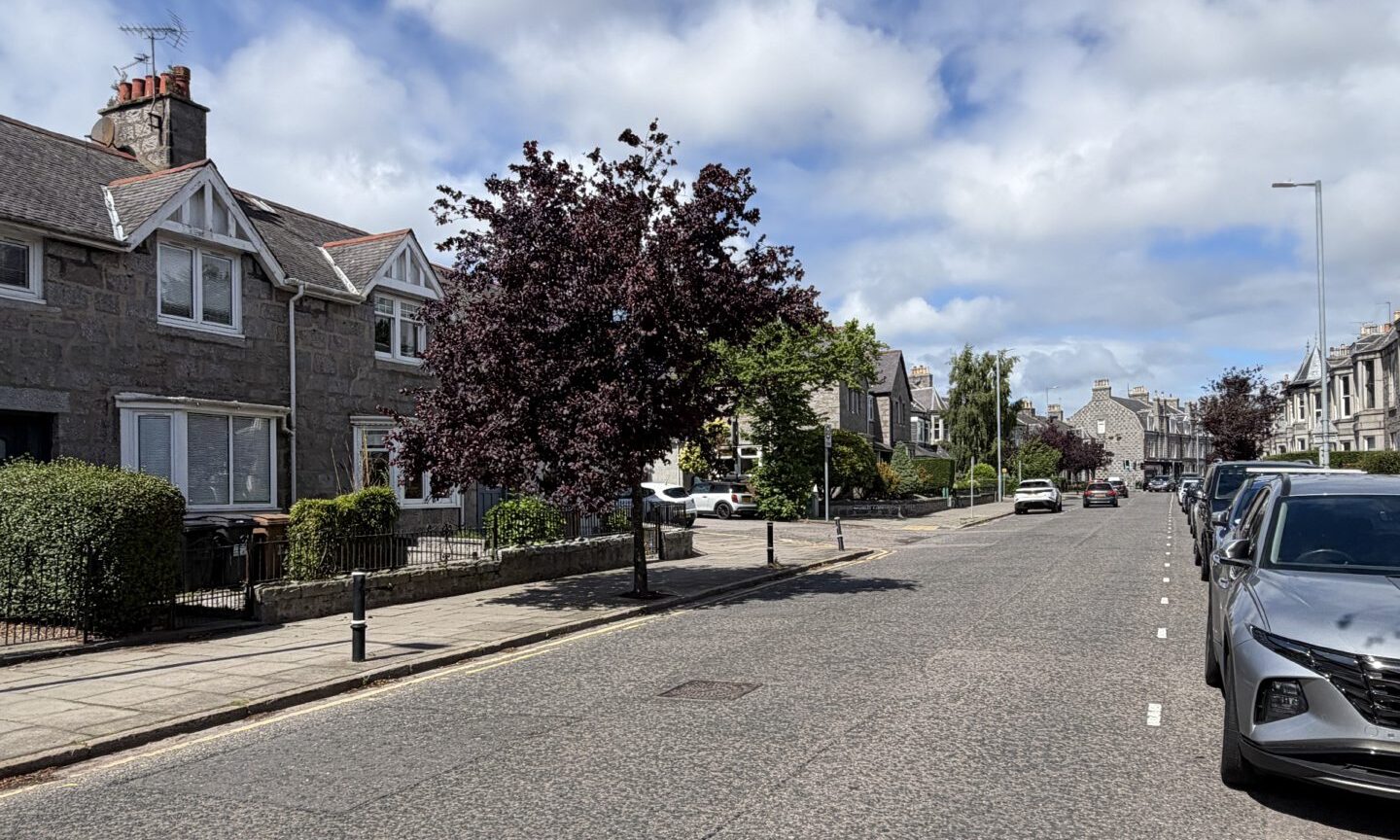 Aberdeen youngsters devastated after street flower beds torn up