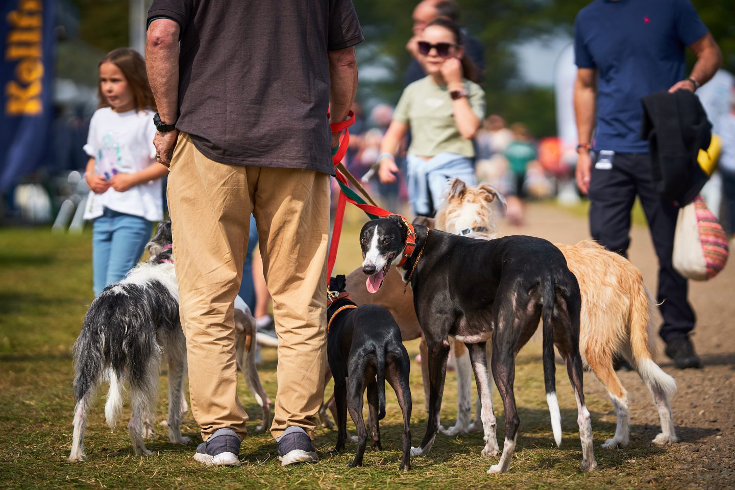 International Horse Trials return to Scone Palace this August
