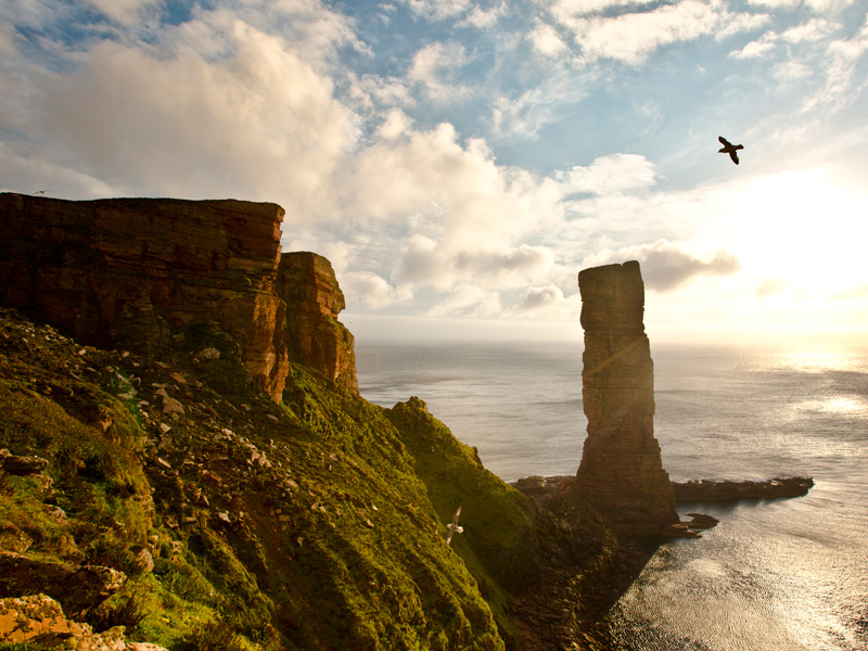 Old Man of Hoy