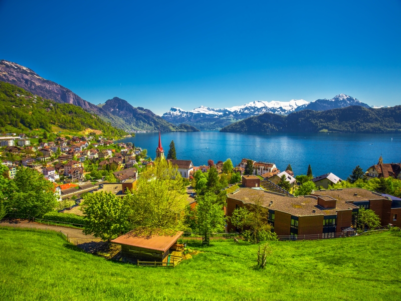 Swiss Alpine Glories