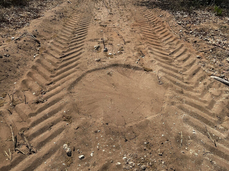 Tyre tracks in dust