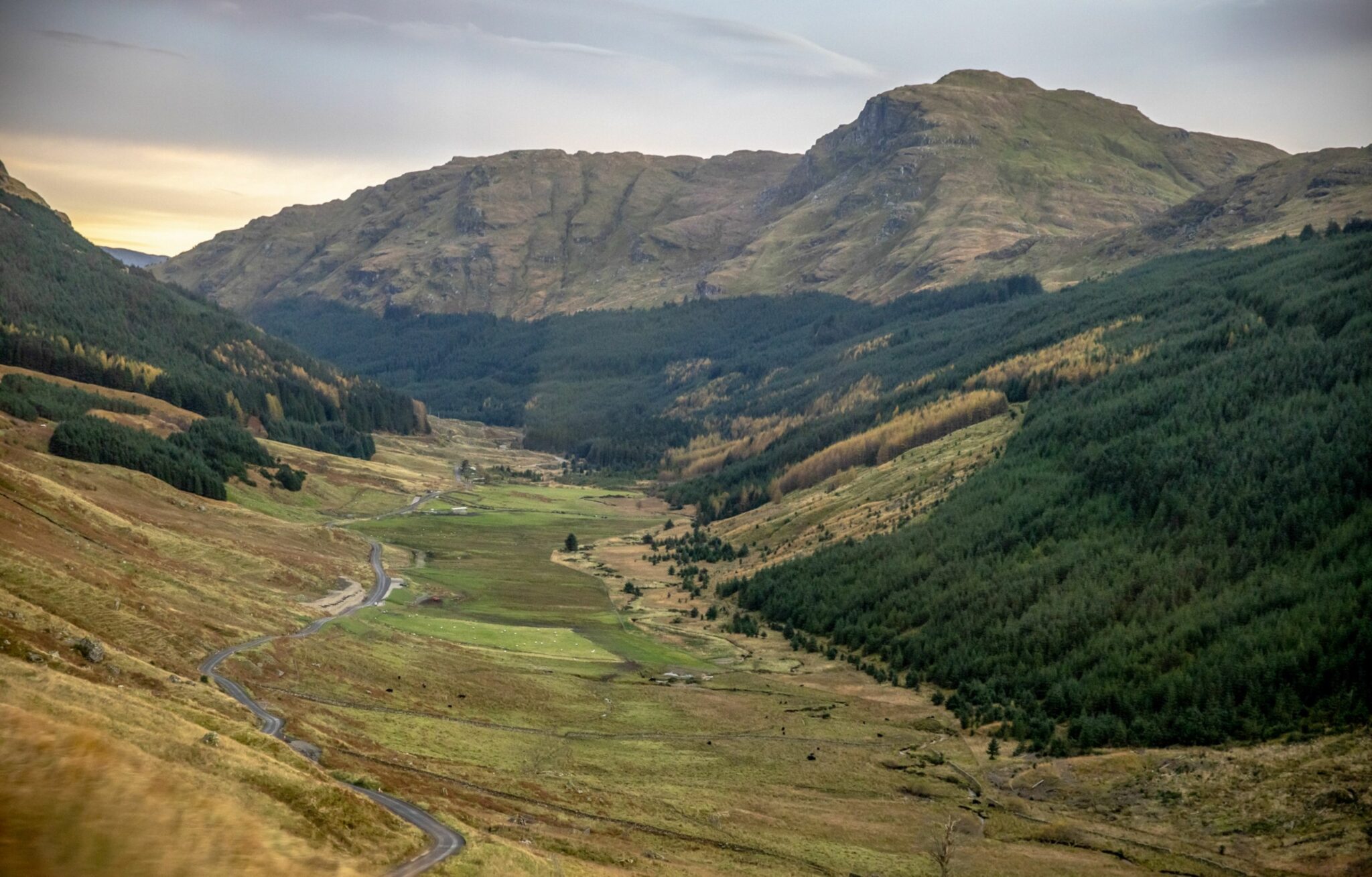 COP26 Scotland's peatlands are a carbon sink under threat News for