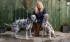 Julie Hunter with two of her Dalmations.
