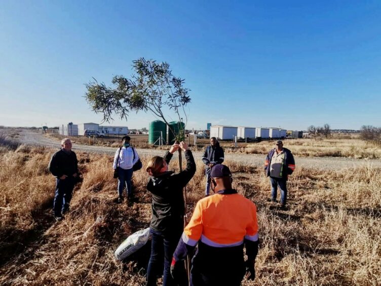 People stand around a tree with infrastructure behind