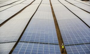 Solar panels with a worker for scale