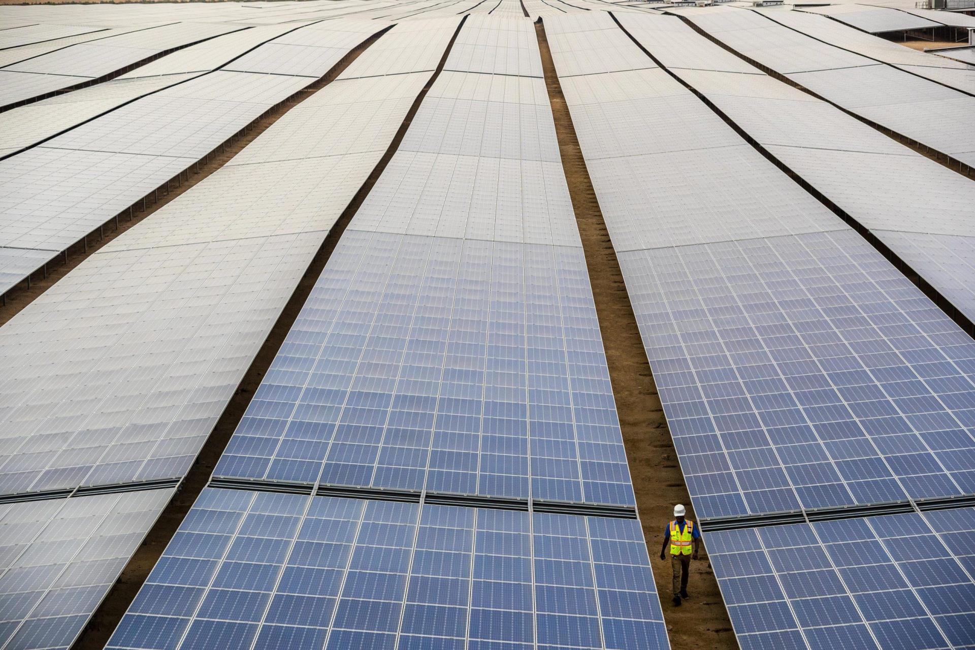 Solar panels with a worker for scale