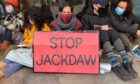 Stop Jackdaw