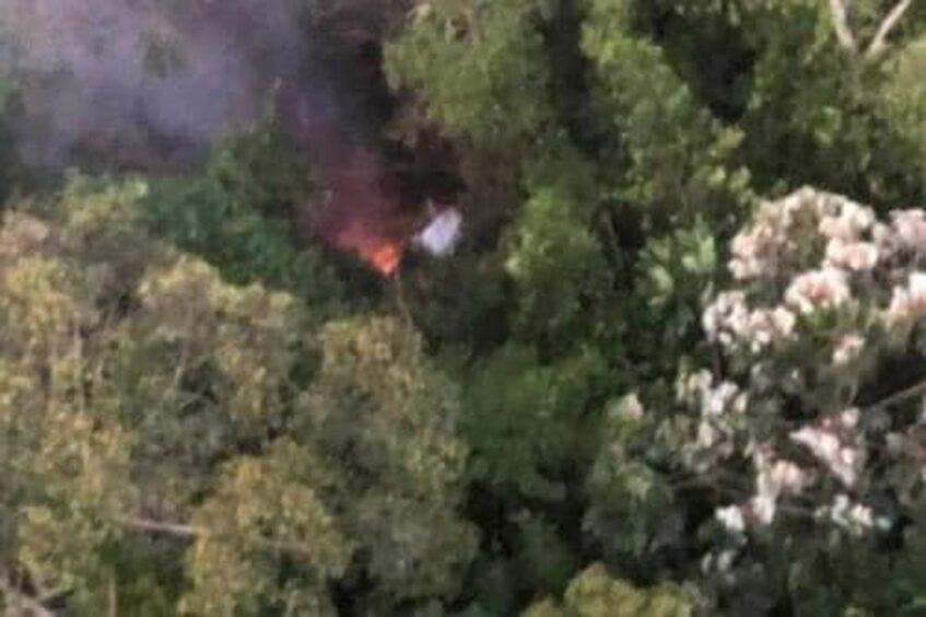 Aerial shot of flames among trees