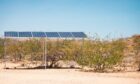 A solar panel under the sun, surrounded by scrub