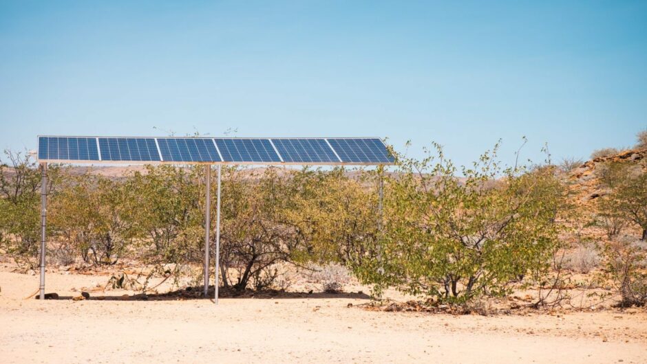 A solar panel under the sun, surrounded by scrub