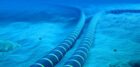 A subsea cable