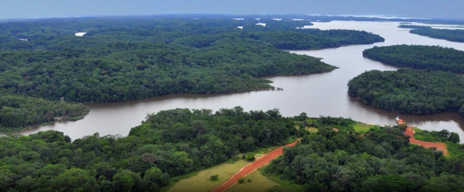 Aerial shot of river and greenery