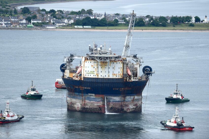 Hummingbird Spirit Cromarty Firth