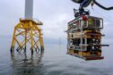 Rovco commences year three of agreement on Beatrice Offshore Wind Farm.