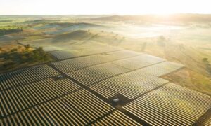 A solar farm in Australia