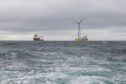 floating wind farm issues