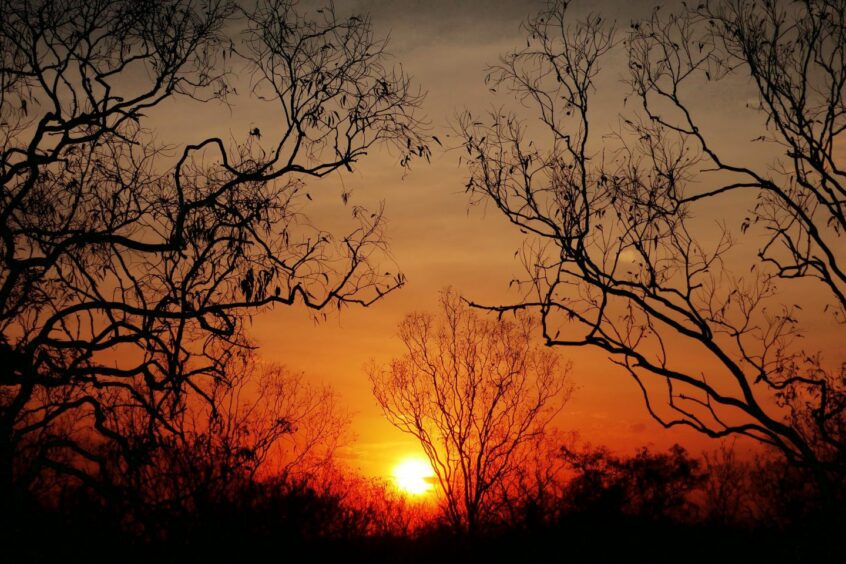 Sunset in the outback of Australia's Northern Territory