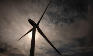 green energy windfall tax