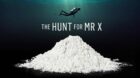 The Hunt for Mr X