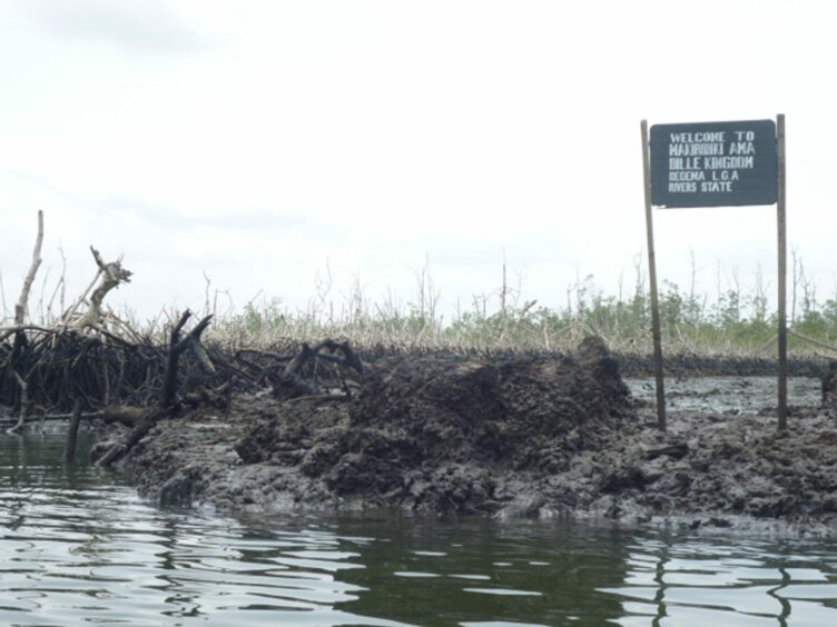 Dead vegetation and murky water