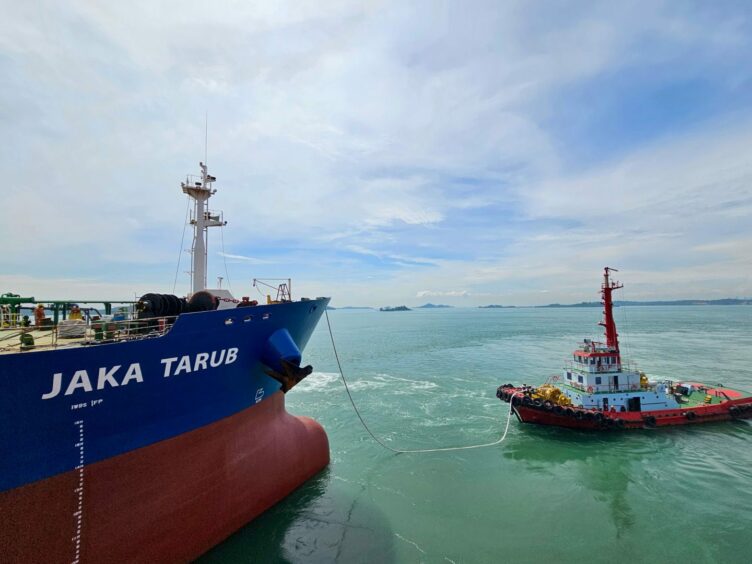 Big ship on green sea