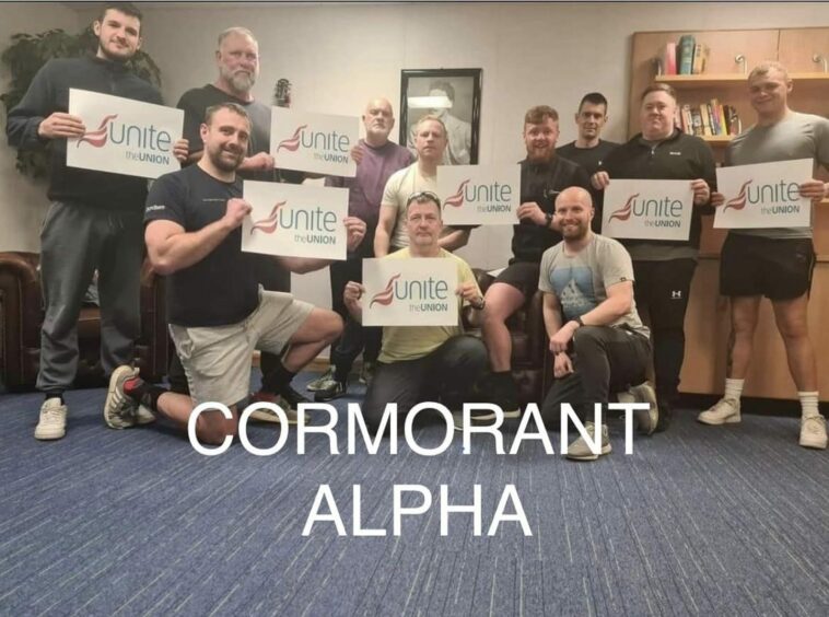 Cormorant Alpha.
