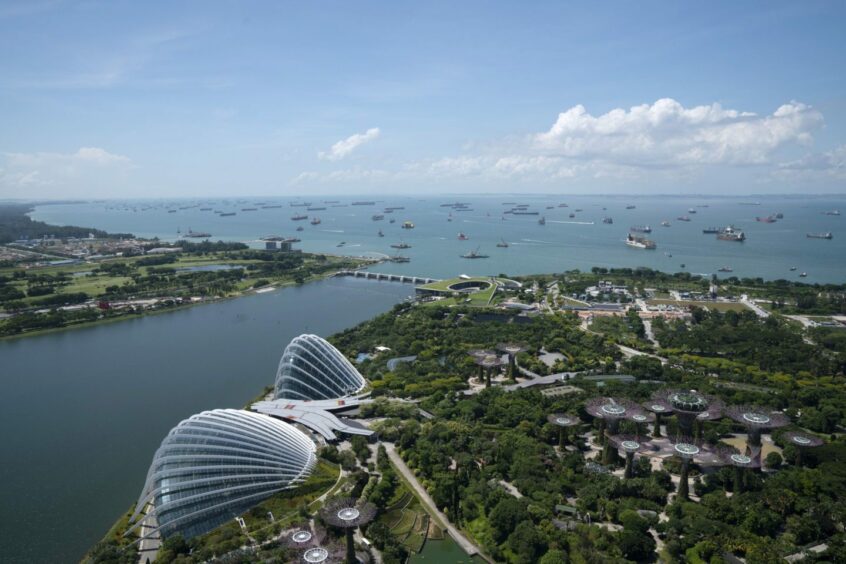 The Gardens by the Bay, bottom, stands as ships and tankers sit off the coast of Singapore on Monday, July 6, 2020.  Photographer: Wei Leng Tay/Bloomberg