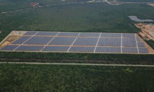 Solar panels from above