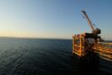 Cheiron has made an oil discovery in the Gulf of Suez