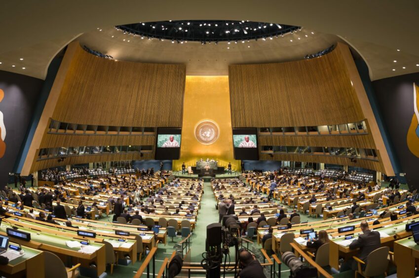 Some criticism was heard when the UN General Assembly gathered on August 25 regarding International Clean Energy Day.