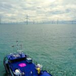 Big Fans: Octopus expands scheme offering cheap wind power to coastal consumers