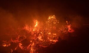 A wildfire rages at night in the northeastern suburbs of Athens, Greece. Photo by Xinhua/Shutterstock (13039006h).