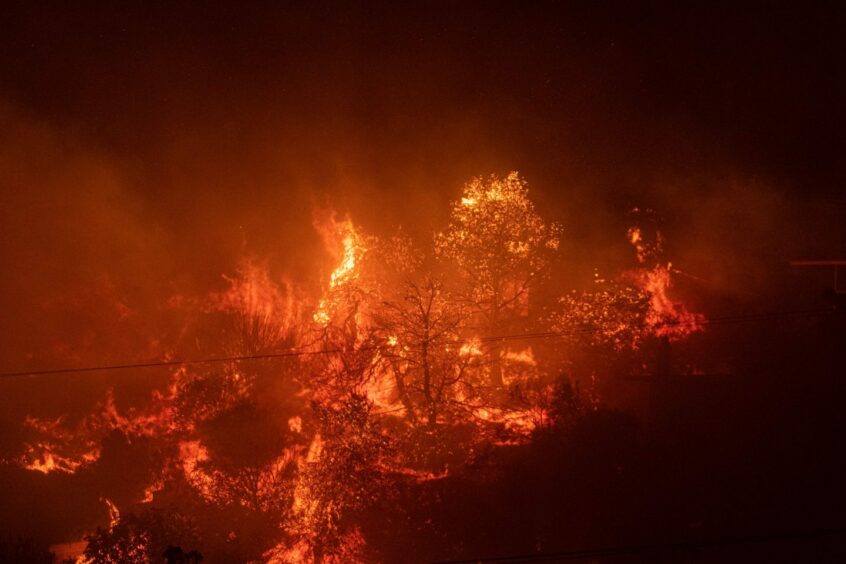 A wildfire rages at night in the northeastern suburbs of Athens, Greece. Photo by Xinhua/Shutterstock (13039006h).
