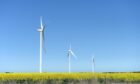 Wind turbines and a field of canola plants near Fiskville, Victoria, Australia, on Thursday, Sept. 28, 2023. Australia will release trade figures on Oct. 5. Photographer: Carla Gottgens/Bloomberg