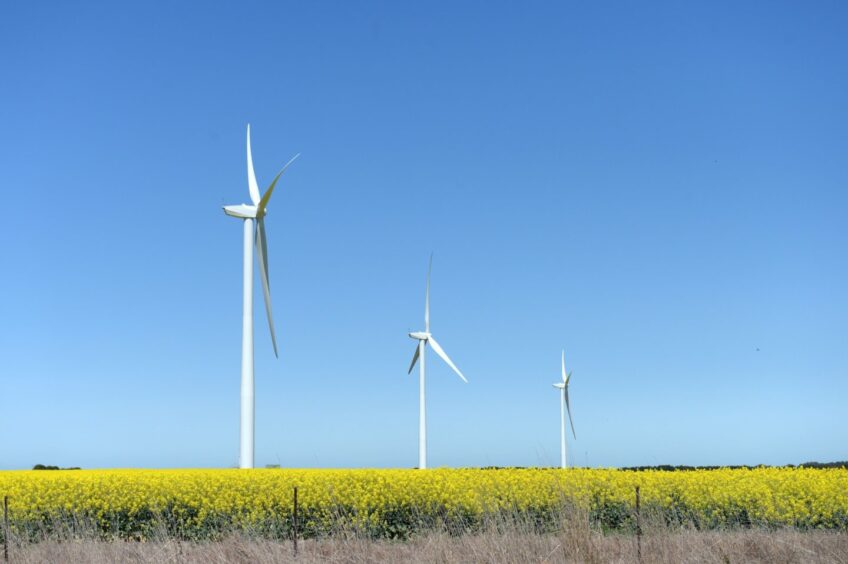 Wind turbines and a field of canola plants near Fiskville, Victoria, Australia, on Thursday, Sept. 28, 2023. Australia will release trade figures on Oct. 5. Photographer: Carla Gottgens/Bloomberg