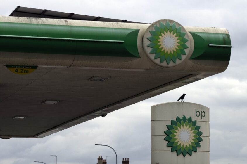 LONDON, ENGLAND - SEPTEMBER 23: A crow walks along a sign at a BP (British Petroleum) petrol station on September 23, 2021 in London, United Kingdom. BP has announced that its ability to transport fuel from refineries to its branded petrol station forecourts is being impacted by the ongoing shortage of HGV drivers and as a result, it will be rationing deliveries to ensure continuity of supply. (Photo by Dan Kitwood/Getty Images)