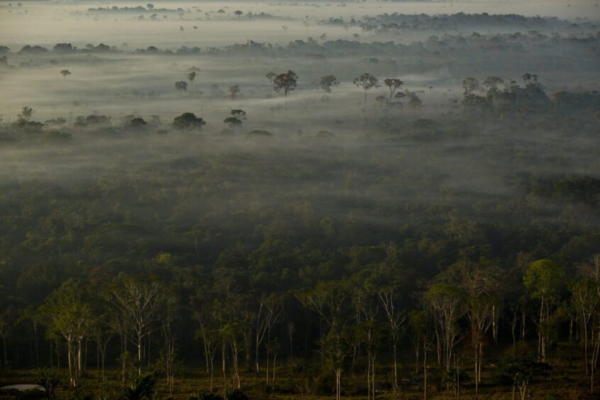 Methane is responsible for as much as 30% of global warming since the Industrial Revolution.