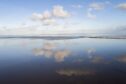 The Wadden Sea, a protected nature reserve and UNESCO World Heritage site in Wierum, Netherlands.  Photographer: Cris Toala Olivares/Getty Images