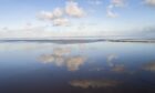 The Wadden Sea, a protected nature reserve and UNESCO World Heritage site in Wierum, Netherlands.  Photographer: Cris Toala Olivares/Getty Images