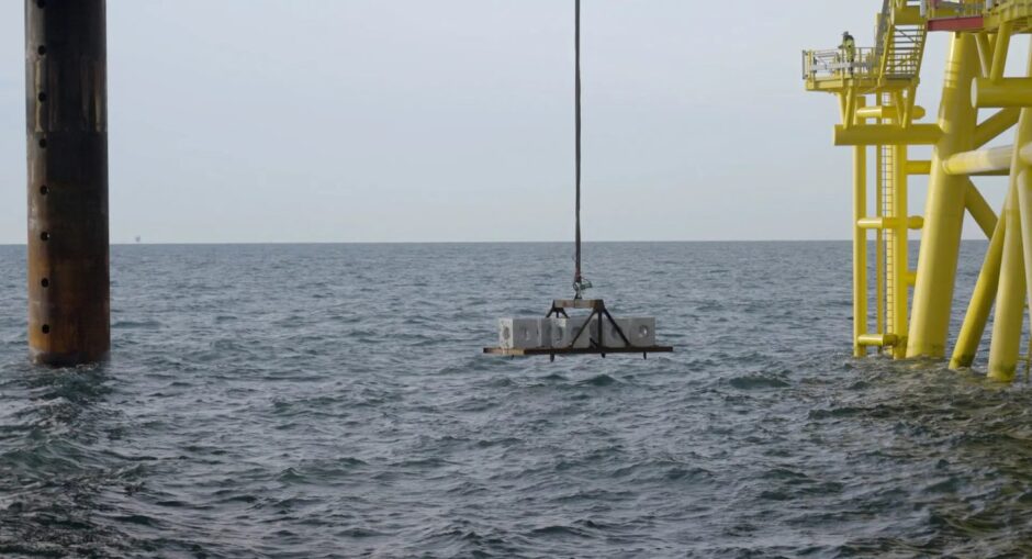 Dutch firm TenneT placed several artificial reefs near the offshore transformer platform at the Hollandse Kust offshore wind farm in the Netherlands.