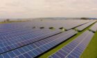 A UK solar farm developed by Octopus Energy.