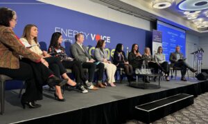 a panel tackles gender equality at a Women in New Energy event