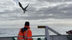 NBC Environment working on the Schooner decommissioning programme.