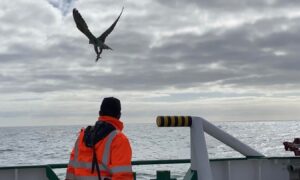 NBC Environment working on the Schooner decommissioning programme.